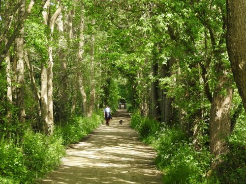 Forest Way Country Park