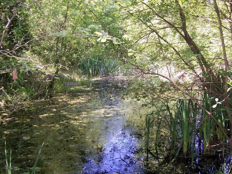 Crowborough Country Park