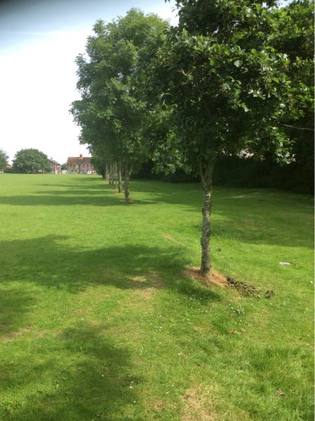 Maurice Thornton Playing Fields