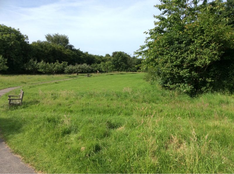 Rotherfield Millennium Green